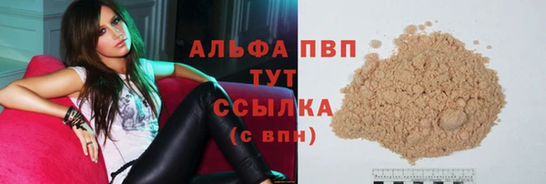 спиды Аркадак