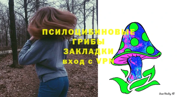 спиды Аркадак