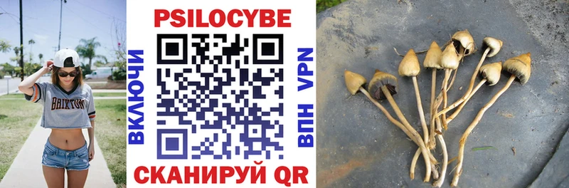 где купить наркотик  Белгород  Галлюциногенные грибы прущие грибы 