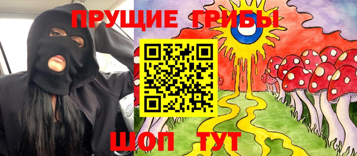 Псилоцибиновые грибы Psilocybe  Вход с VPN  Белгород 